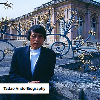 بیوگرافی تادائو آندو